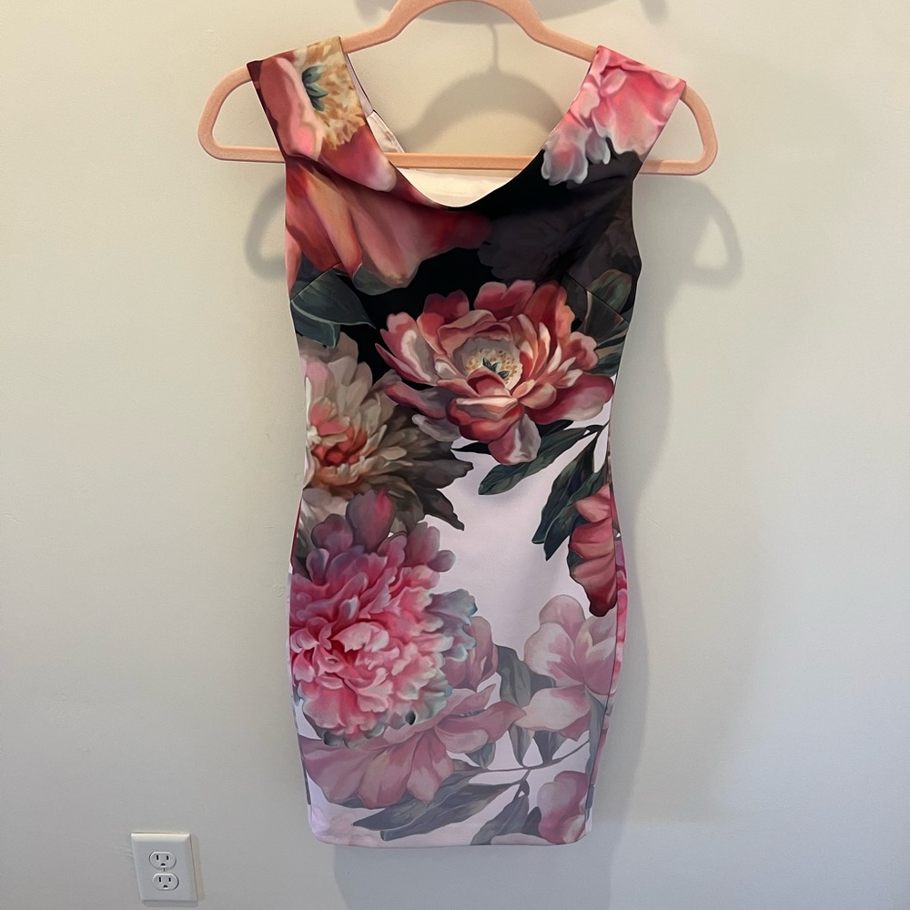 Ted Baker dress worn once